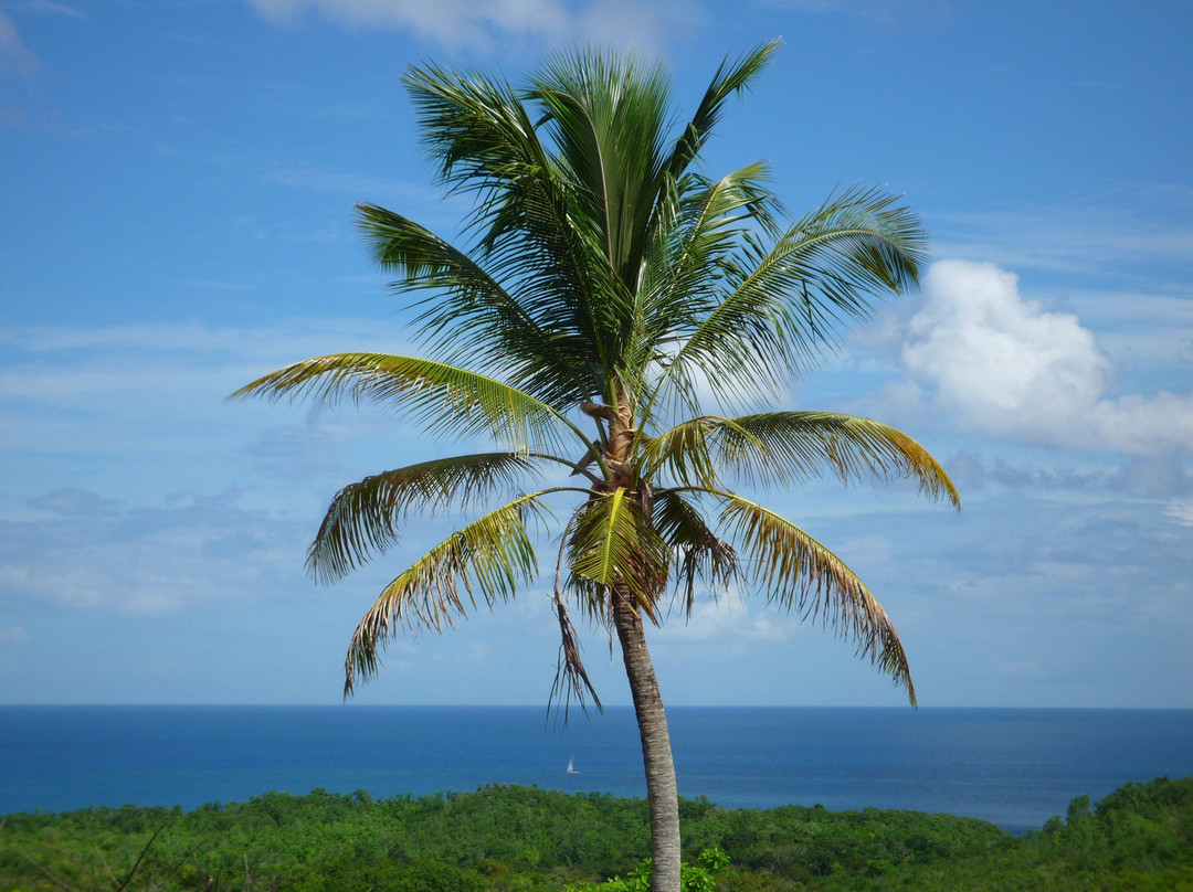 Domaine de l'Anse Ramier主图