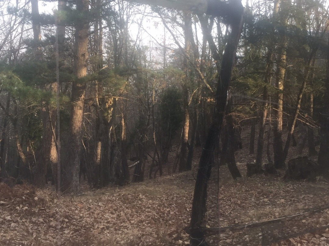 Lucca Paintball-Bagni di Lucca必去景点