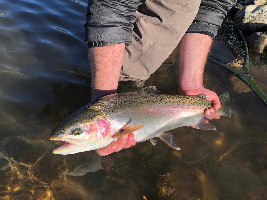 Drift On The Fly-Grass Valley必去景点