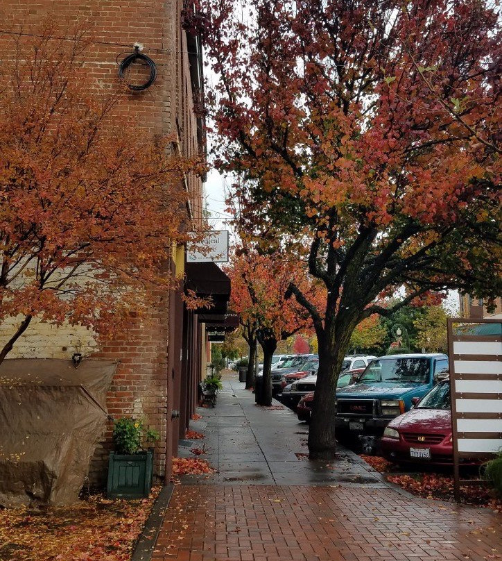 Abbey House Inn主图