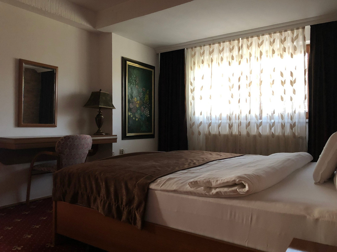 Villa Vodno主图