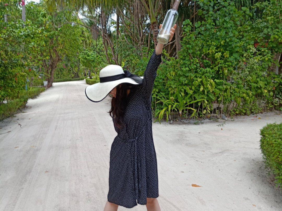 马尔代夫南阿里环礁丽世度假村主图