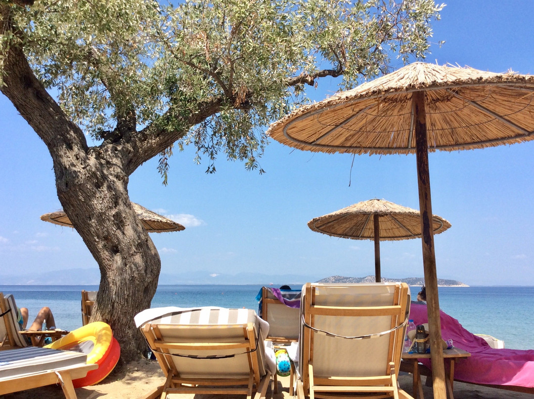 Galaxy City Hotel主图