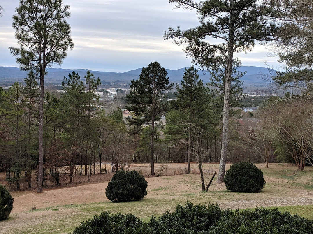 Springwood Inn主图