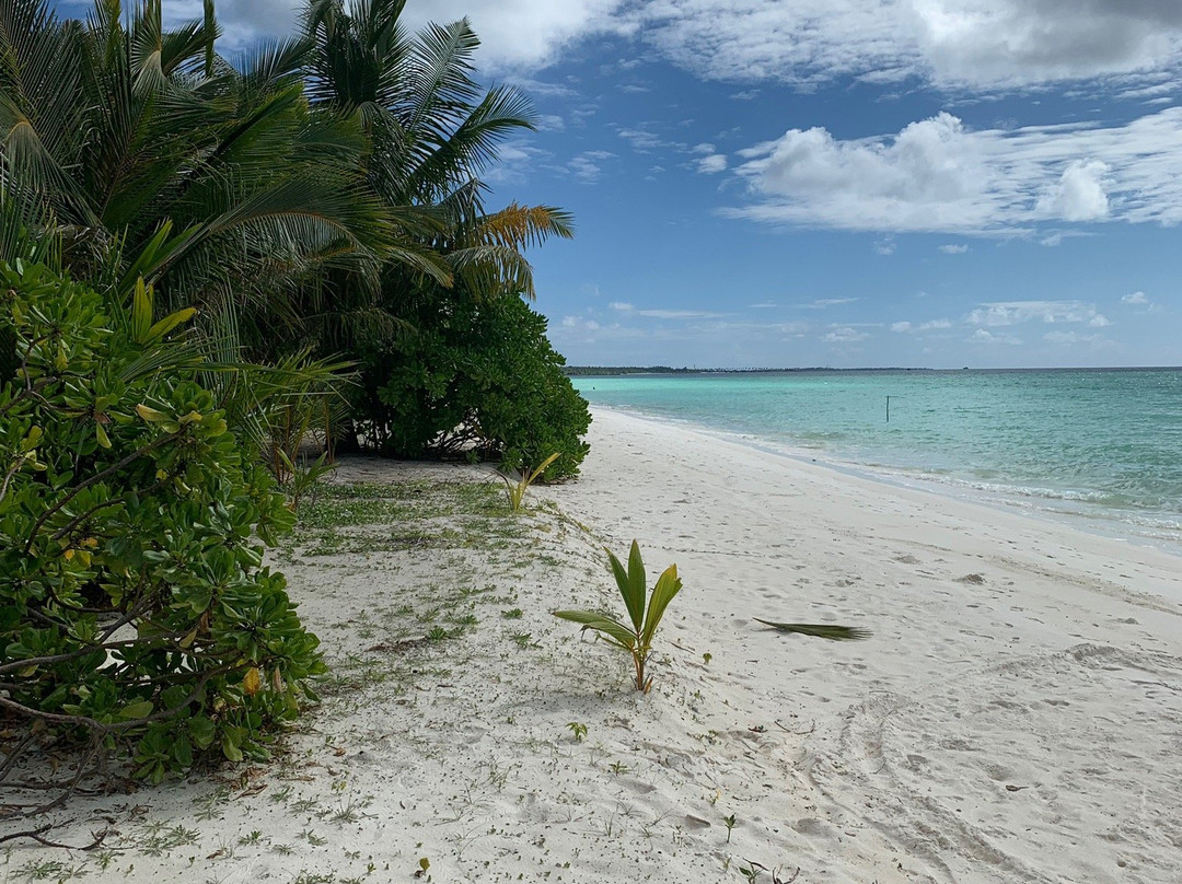 阿姆拉宫酒店主图