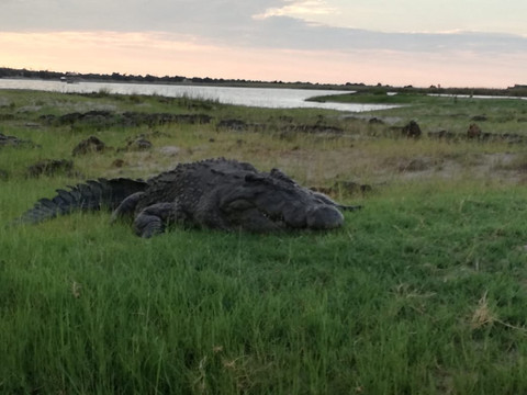 Okutembuka Safaris-温德和克必去景点