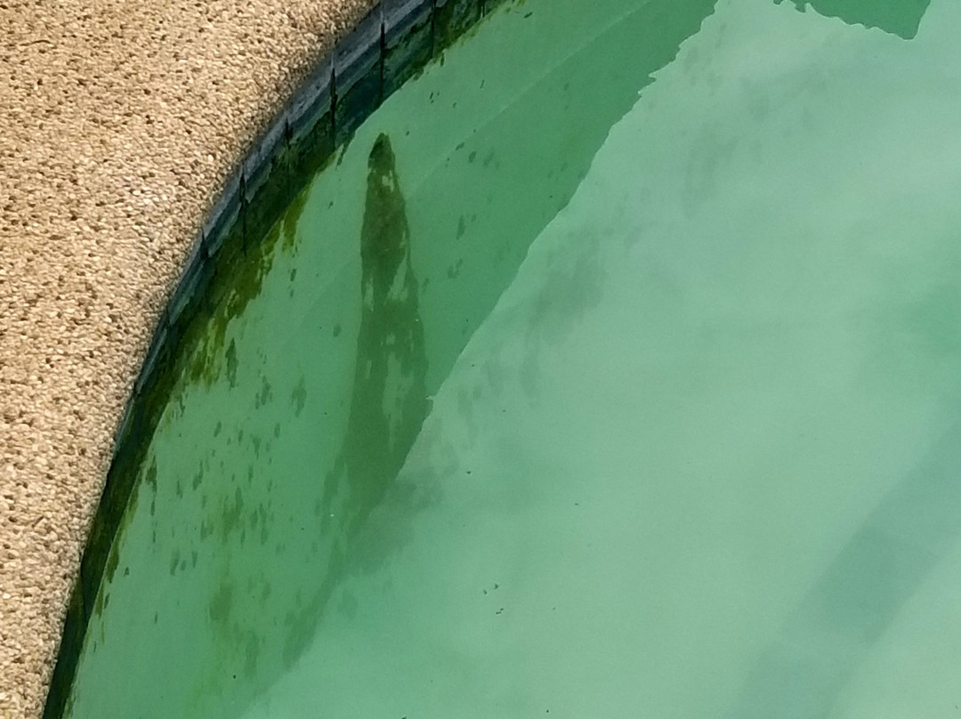 Banlasan Lodge主图