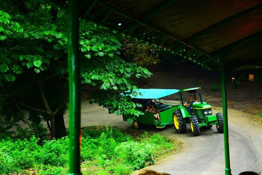 Eco Adventure Park Day Pass