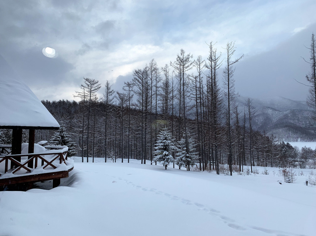 落叶松金山湖酒店主图