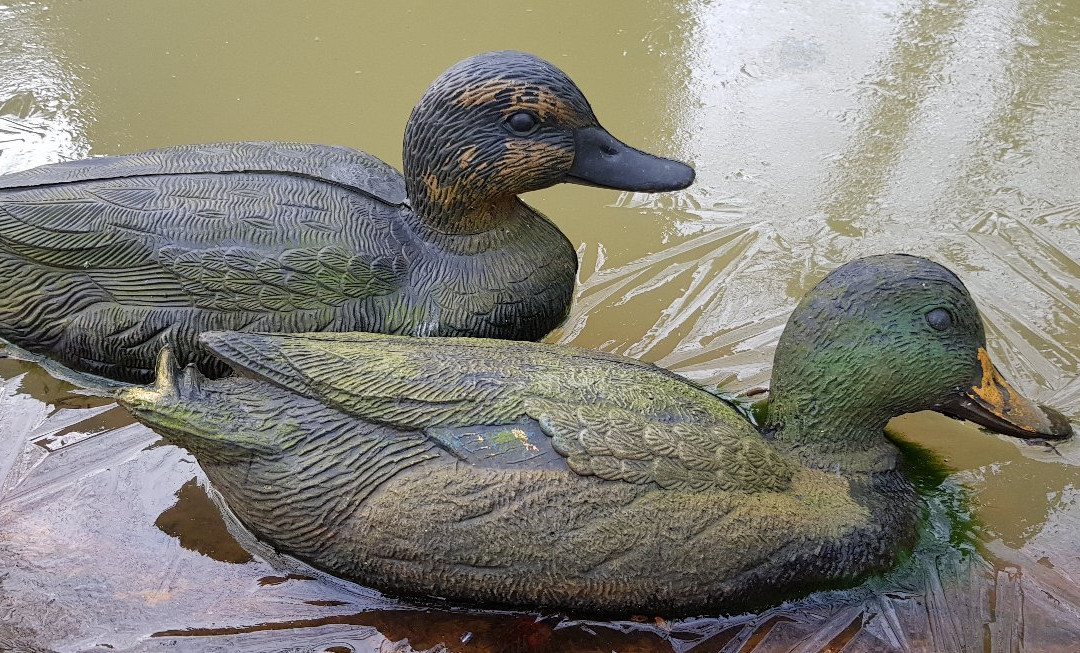 Burg Stickhausen-Detern必去景点