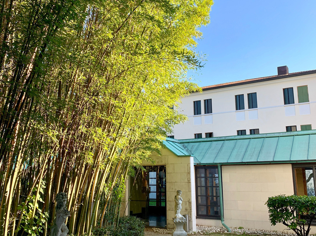 Villa Pace Park Hotel Bolognese主图