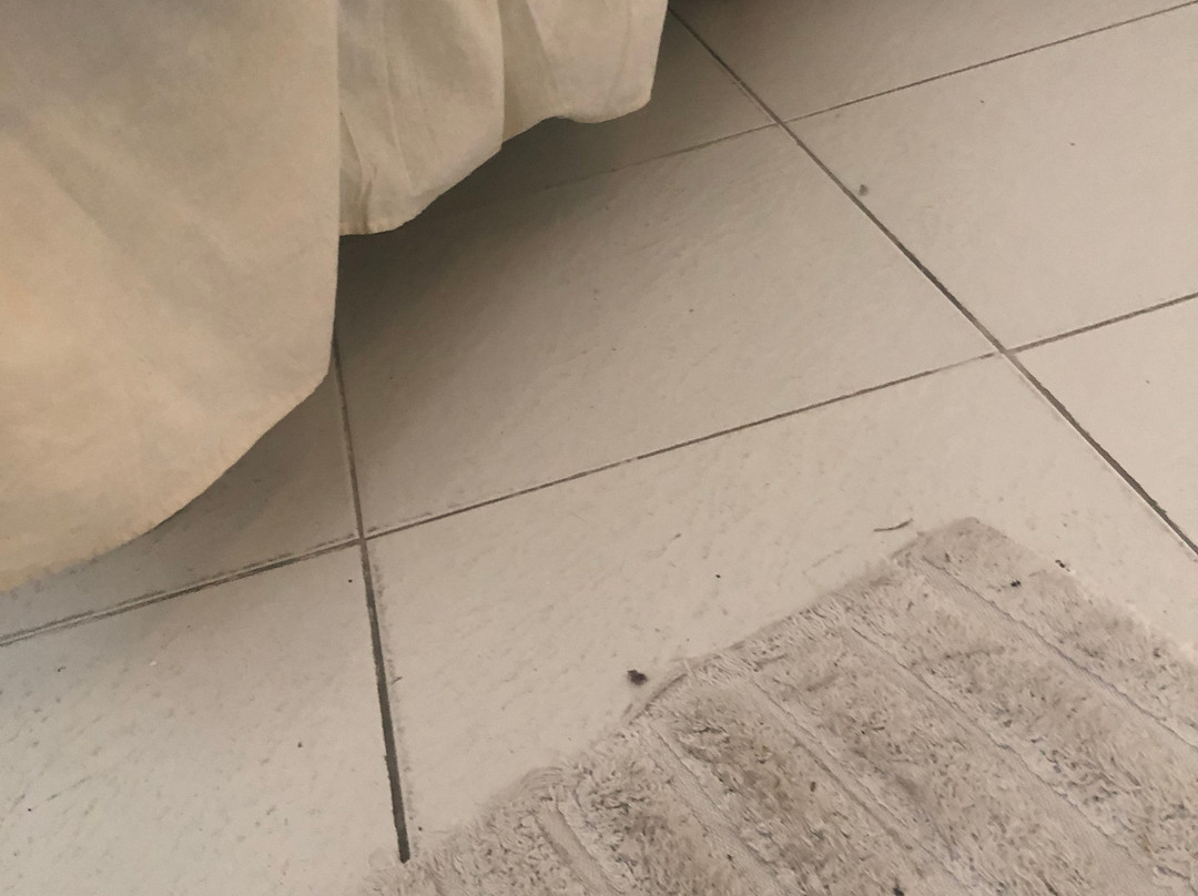 Bernie's Bed & Breakfast主图