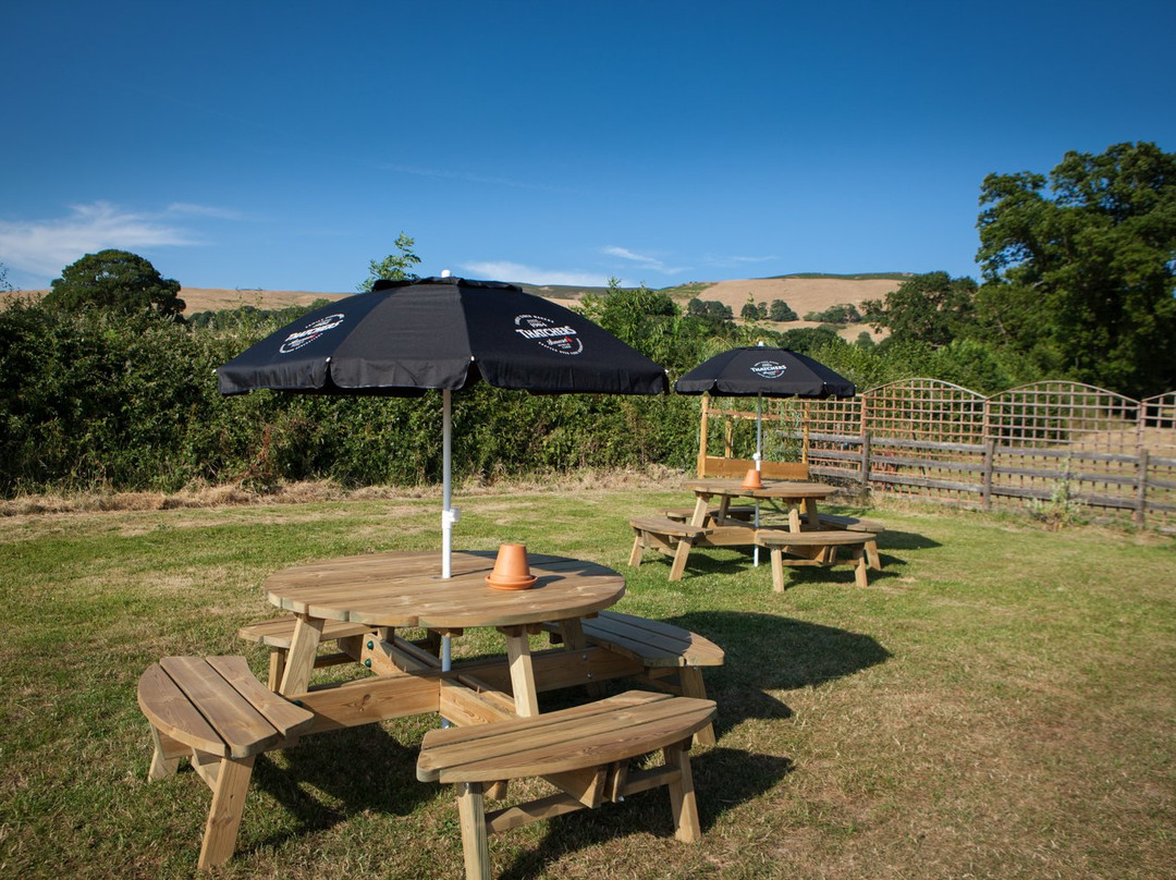 The Golden Lion Inn主图