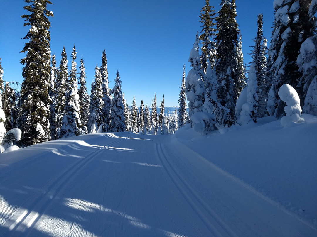 Silver Star Bed & Breakfast主图