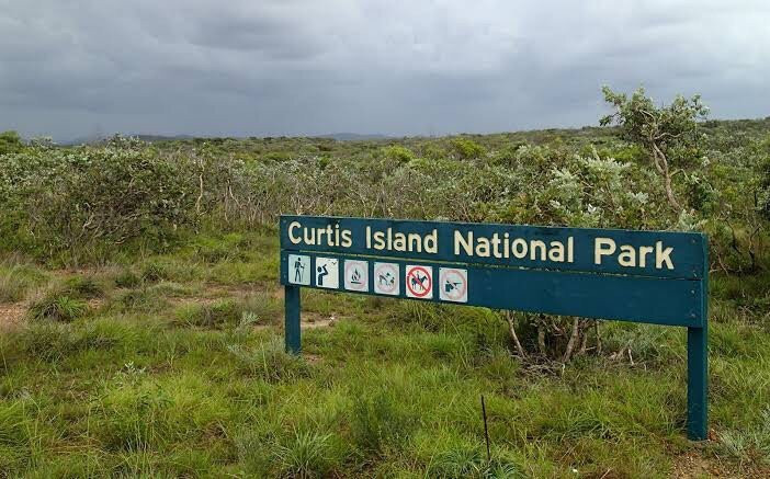 Curtis Island National Park and Regional Park-Gladstone必去景点