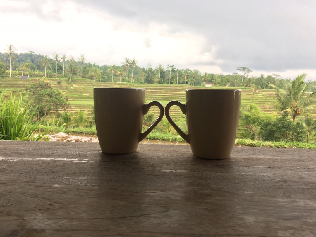 Batukaru Adventures-达巴南必去景点