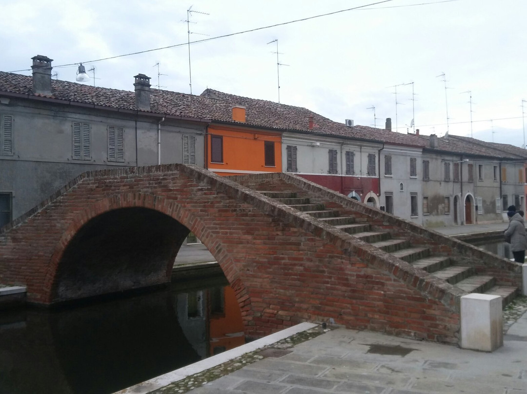 Ponte del Carmine e Ponte Pizzetti景点图片