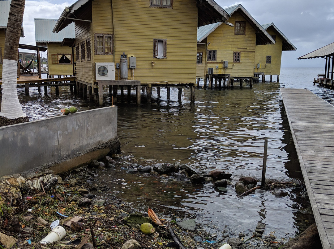 Koko Over The Water主图