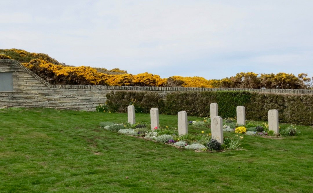 Blue Beach Military Cemetery-East Falkland必去景点