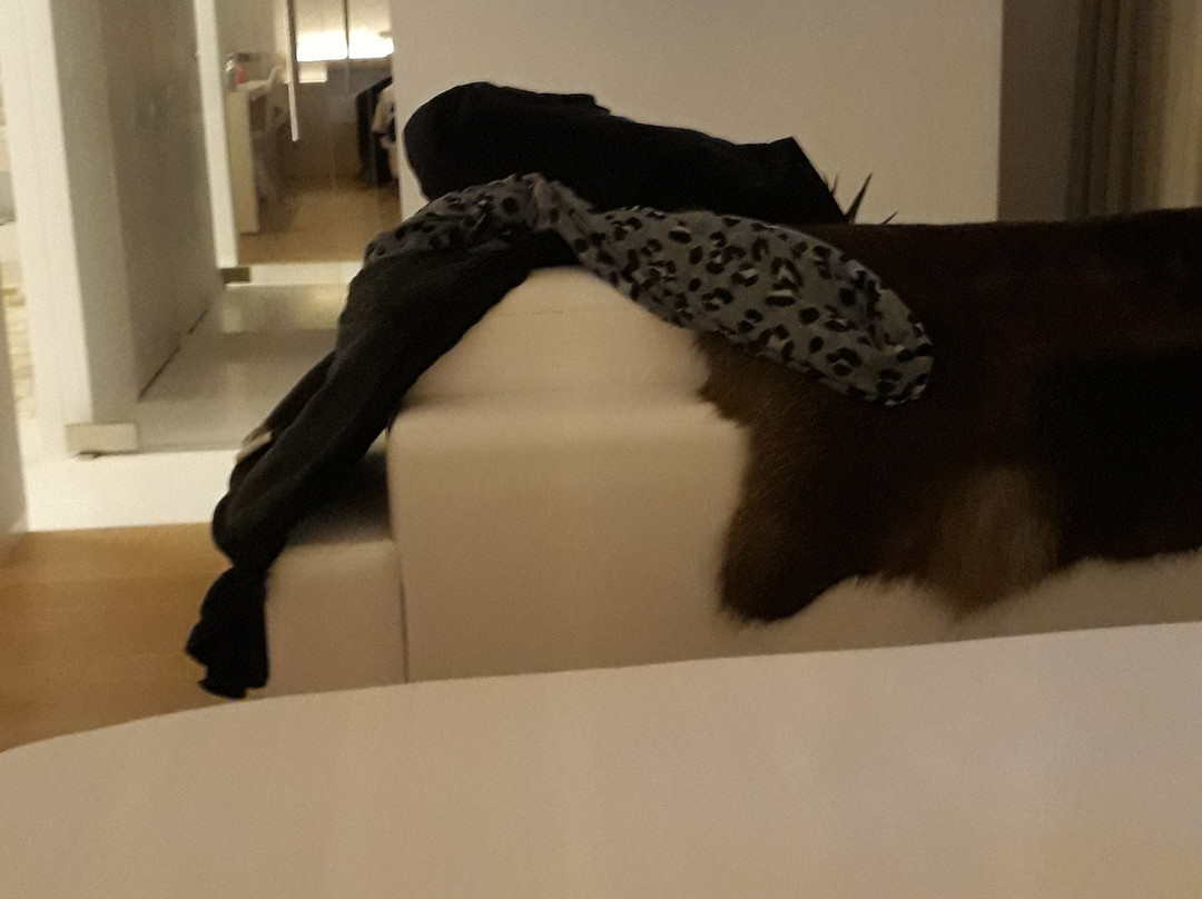 Parkhotel Roeselare主图
