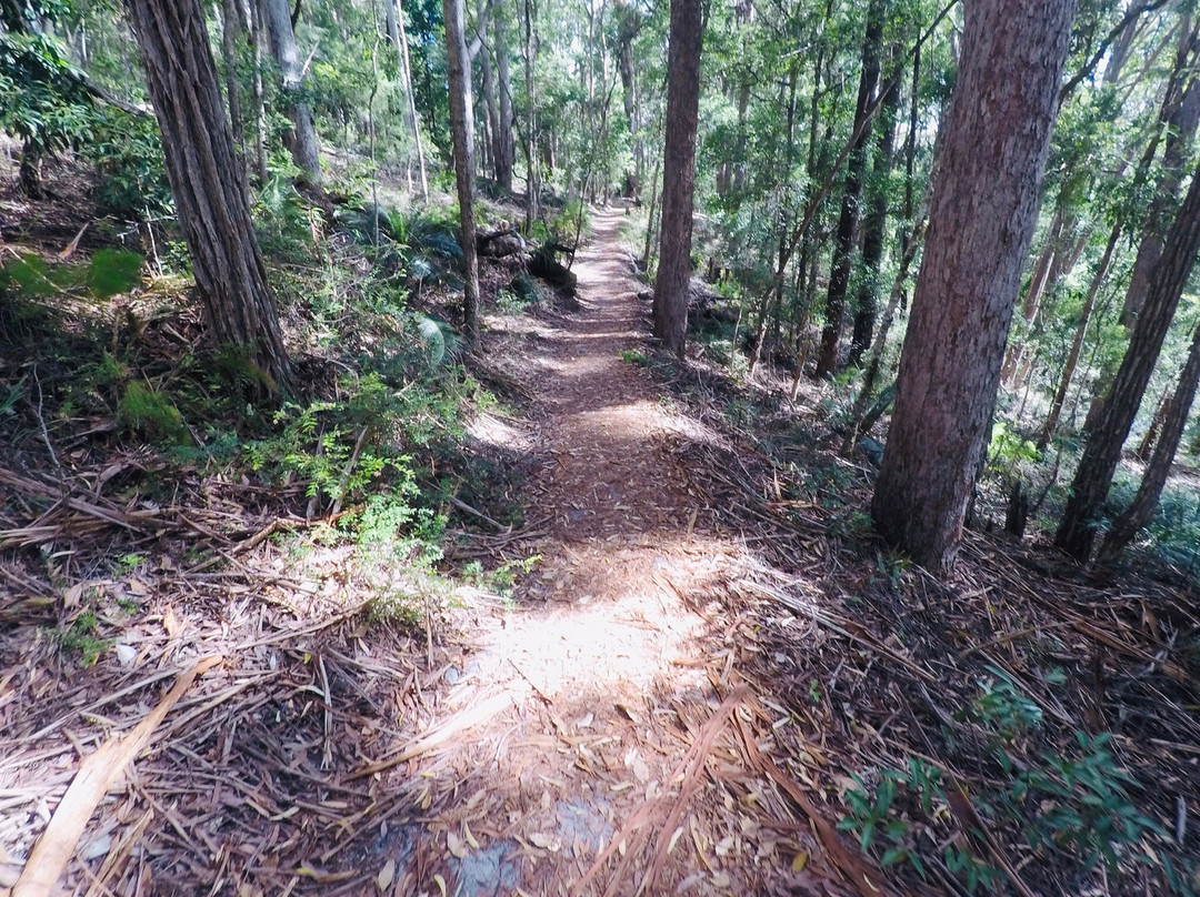 Fraser Island Great Walk景点图片