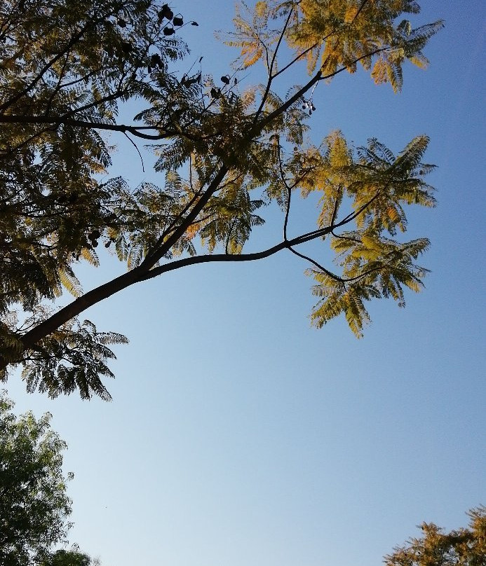 Parque Metropolitano de Guadalajara-Zapopan必去景点