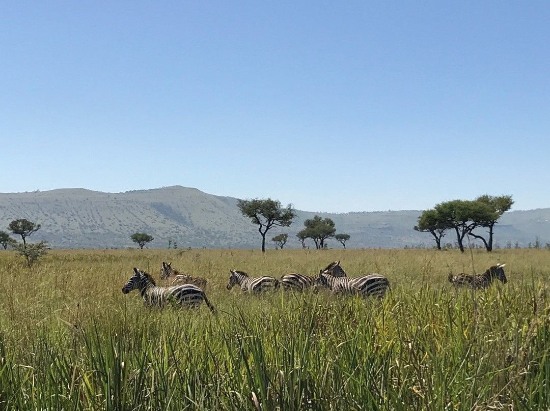 Ruma National Park景点图片