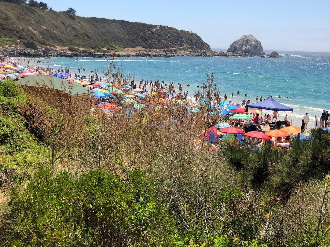 Algarrobo, a pasos Parque Playa El Canelo