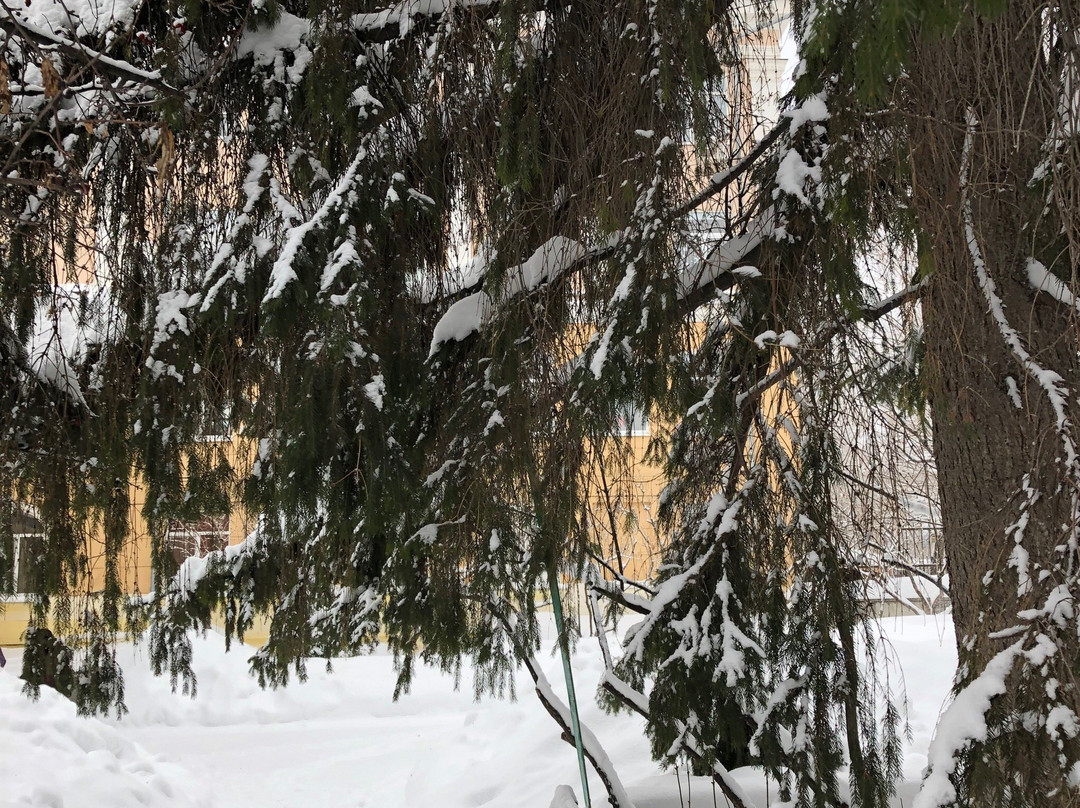 N. Chernyshevskiy's Memorial Estate-萨拉托夫必去景点