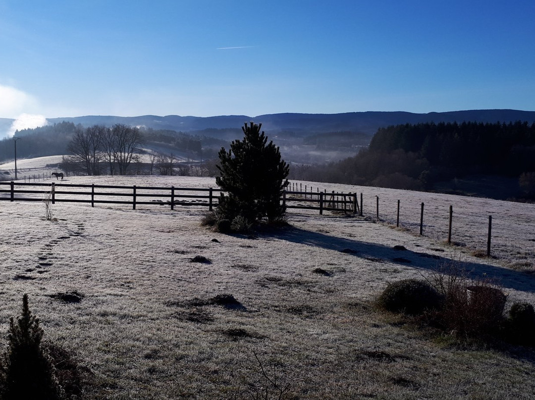 La Champolynoise主图