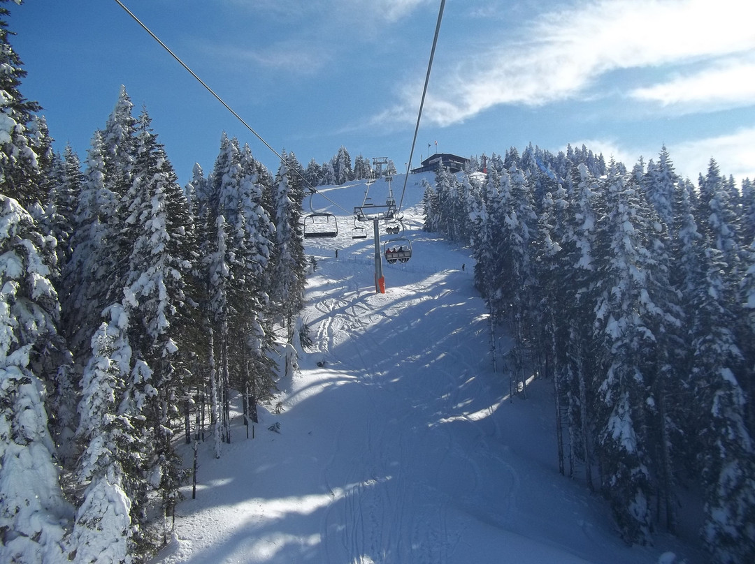 Ilgaz Dagi Kayak Merkezi-厄尔加兹必去景点