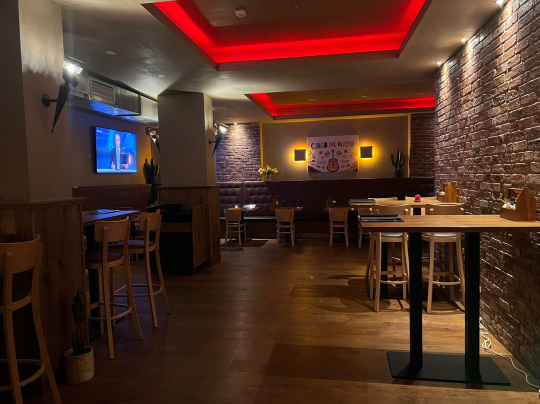 Vidaleo Latin Tapas Bar Cuisine