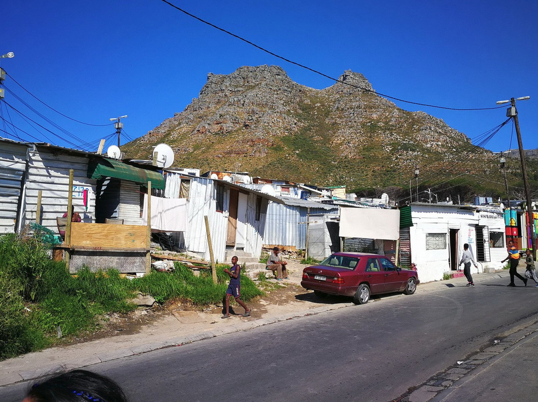 Imizamo Yethu Settlement景点图片