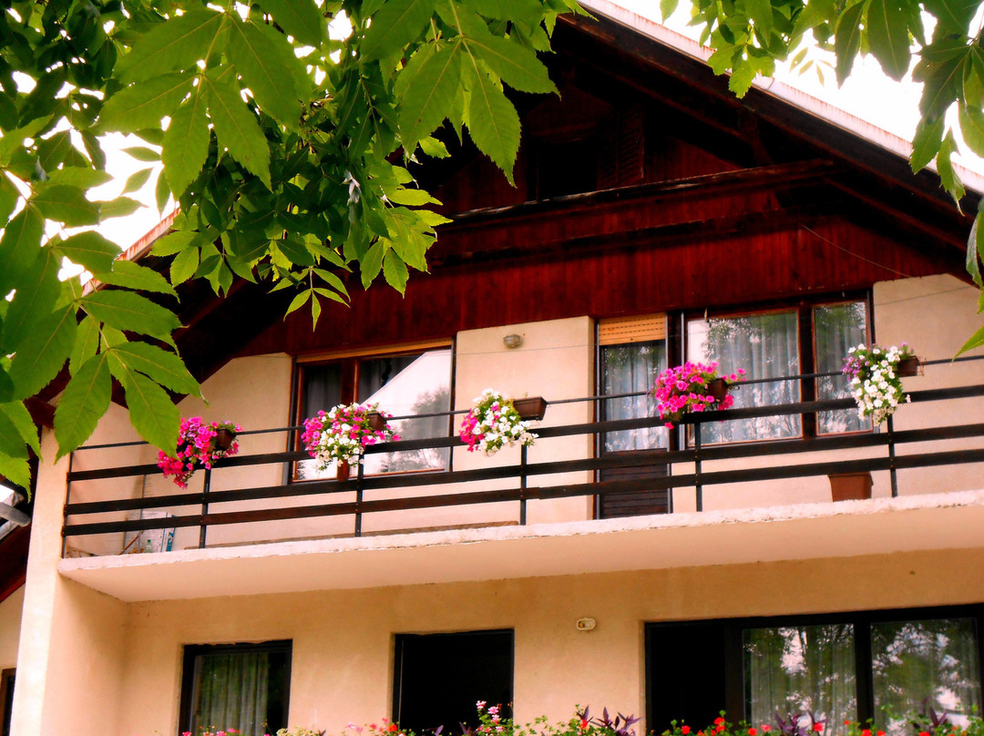 Guest House Attico Viva主图