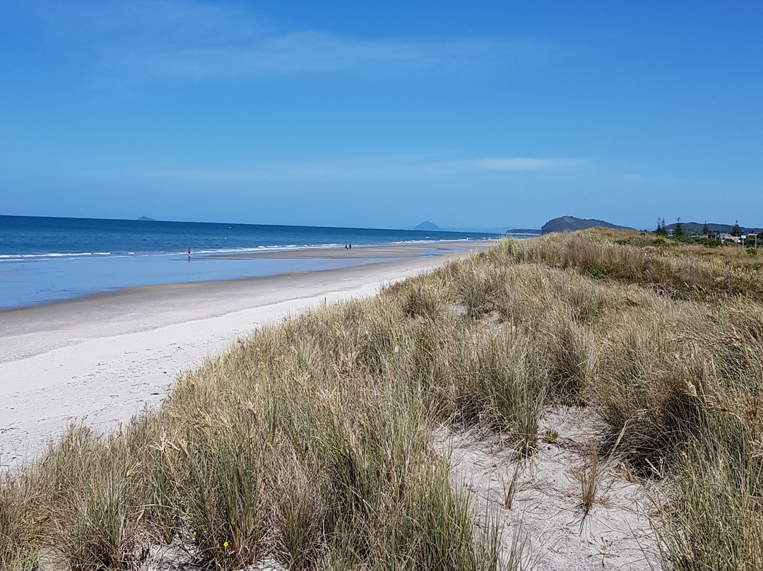 Bowentown Beach Holiday Park-Waihi Beach必去景点