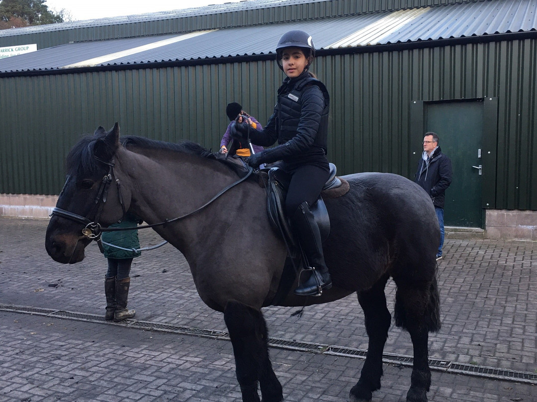 Ayr Equestrian Centre景点图片