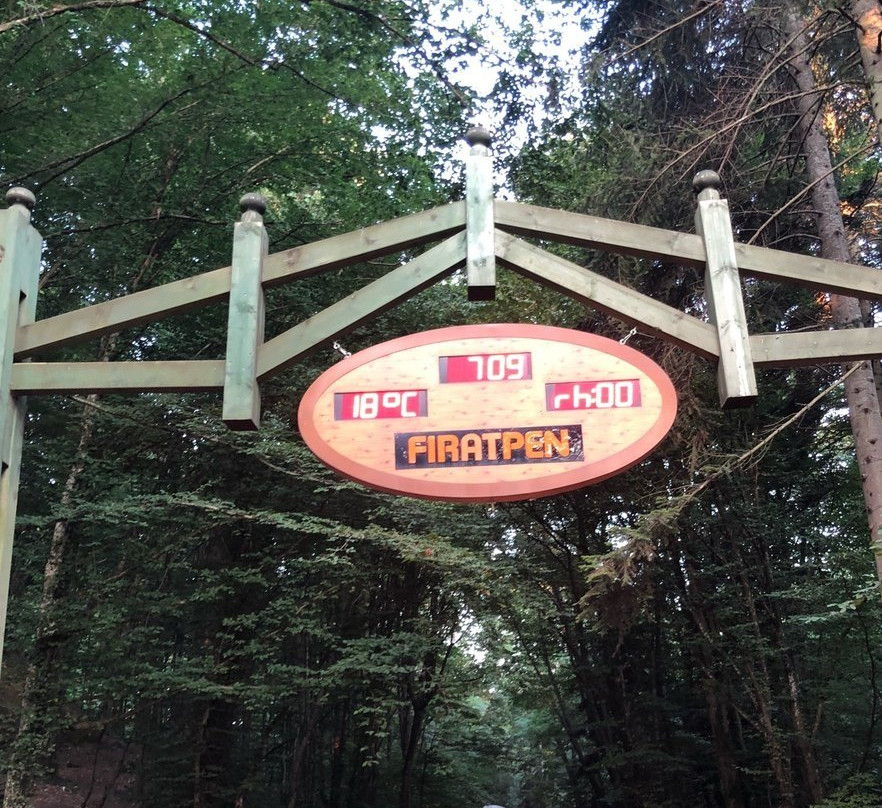 Belgrad Forest-伊斯坦布尔必去景点