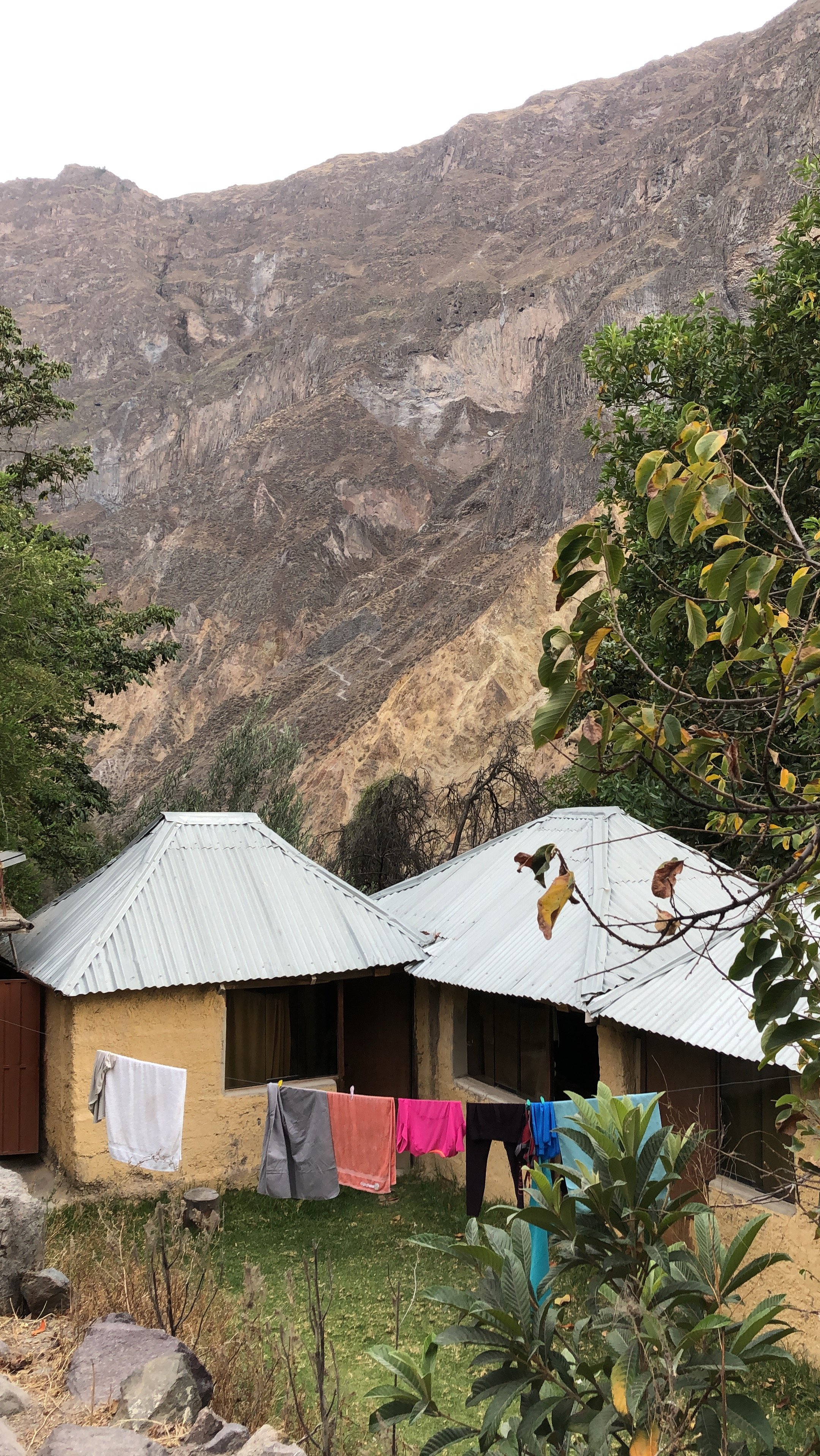 Colibri Lodge-官方