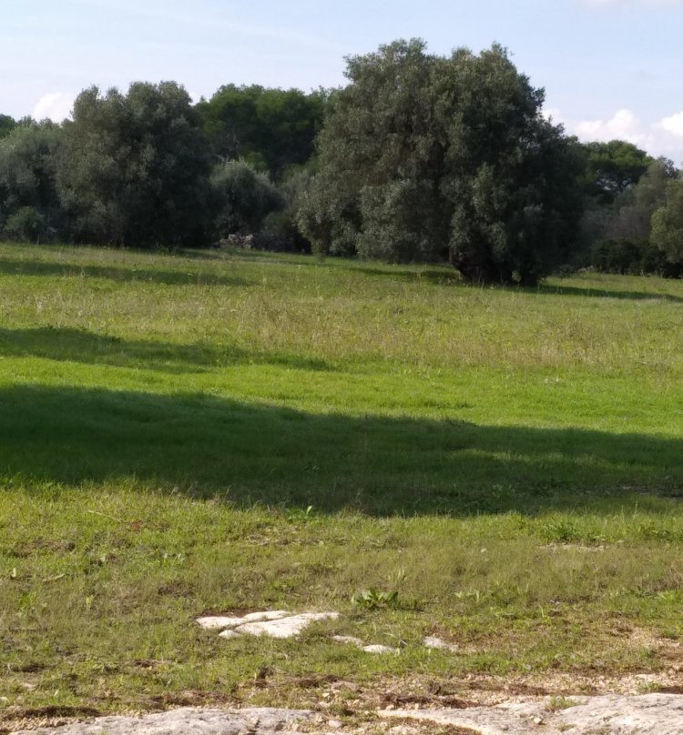 Dolmen di San Giovanni-Statte必去景点