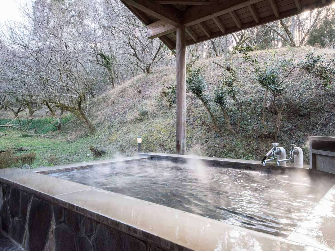 Ryokan Tokiwaso主图