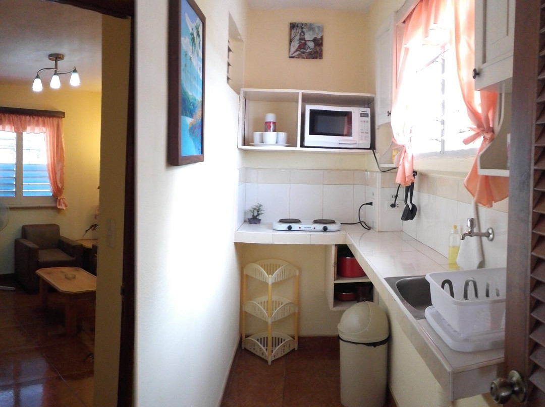 Adrian & Tonia主图