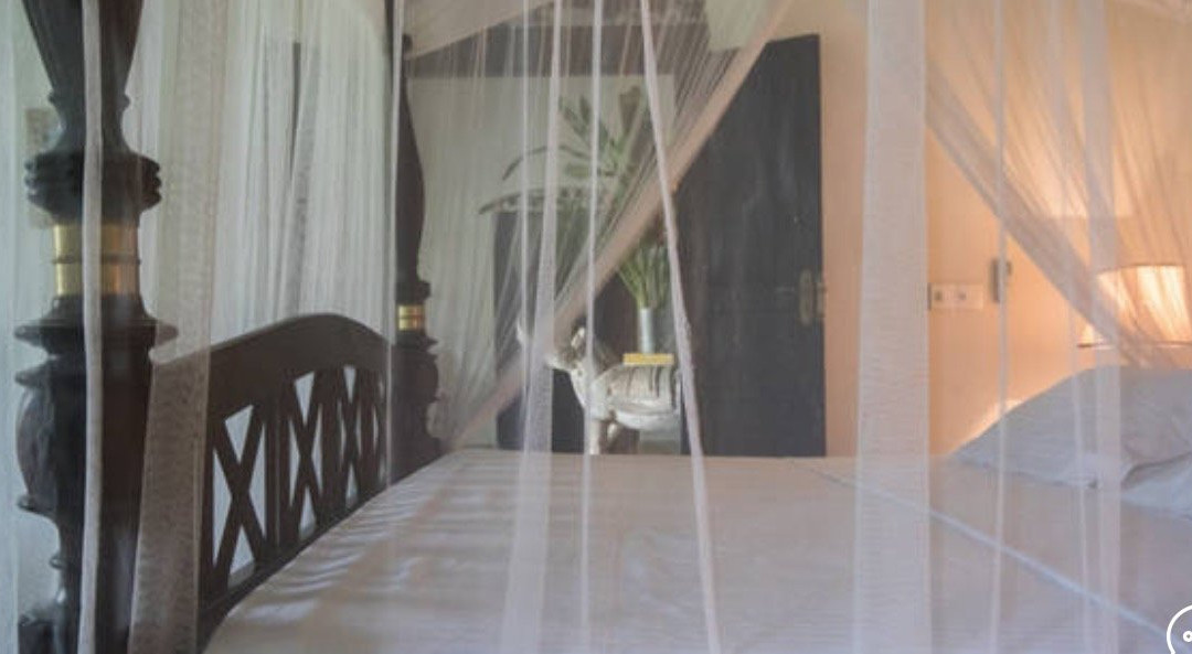 Galle Henna Estate主图