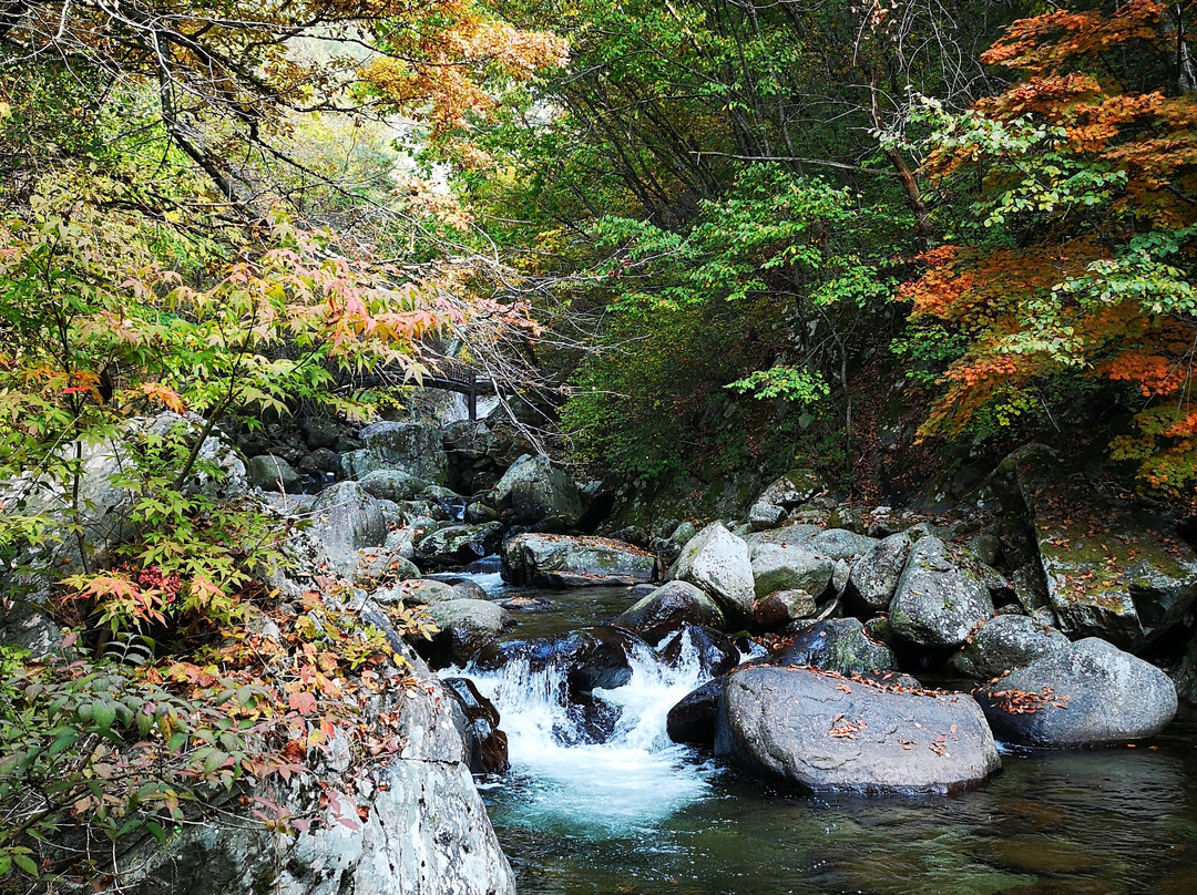 Darian Tour景点图片