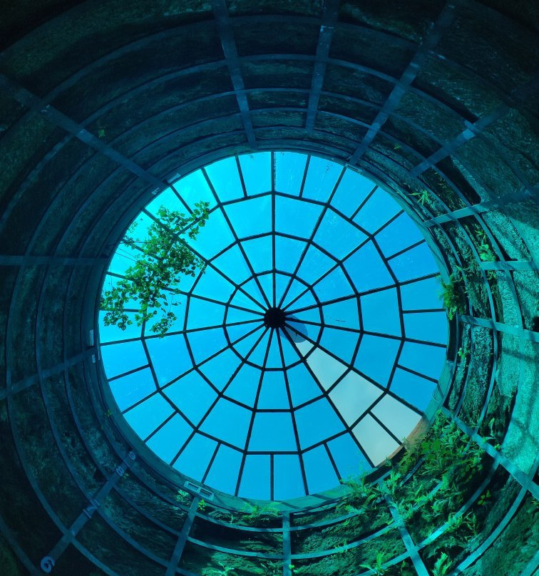 恐龙蛋化石博物馆-西峡县必去景点