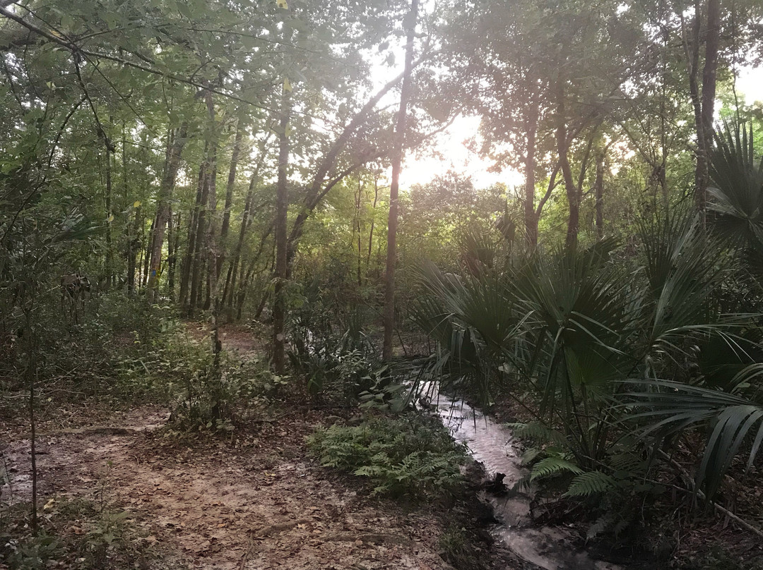Hidden Waters Preserve-Eustis必去景点