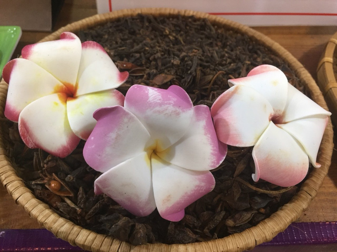 Hoa Ly Spa-会安必去景点