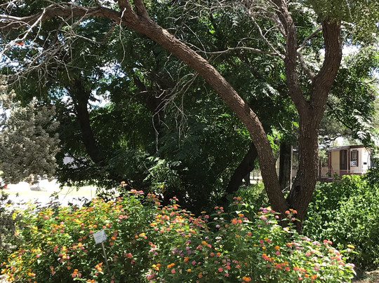 Garden of Eden-Eden必去景点