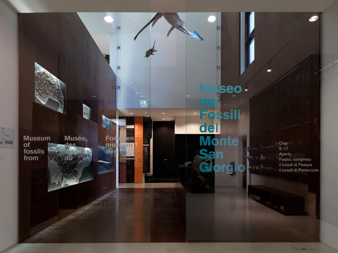 Museo dei fossili del Monte San Giorgio景点图片