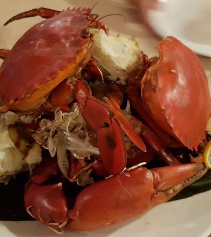 朋拜餐馆和美食-Ninsei Restaurant