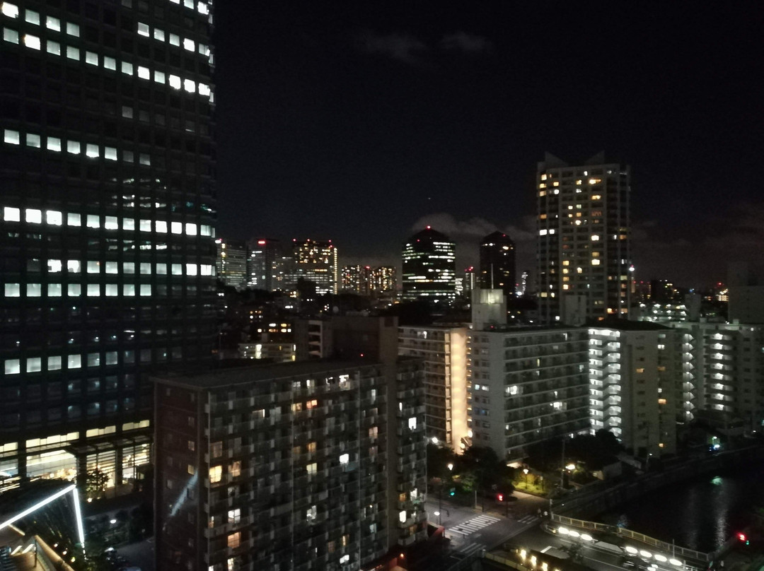 东京新大谷旅社主图